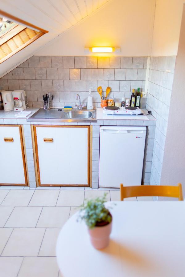 Studio Cocon Sous Les Toits De Jaures Belfort Bagian luar foto